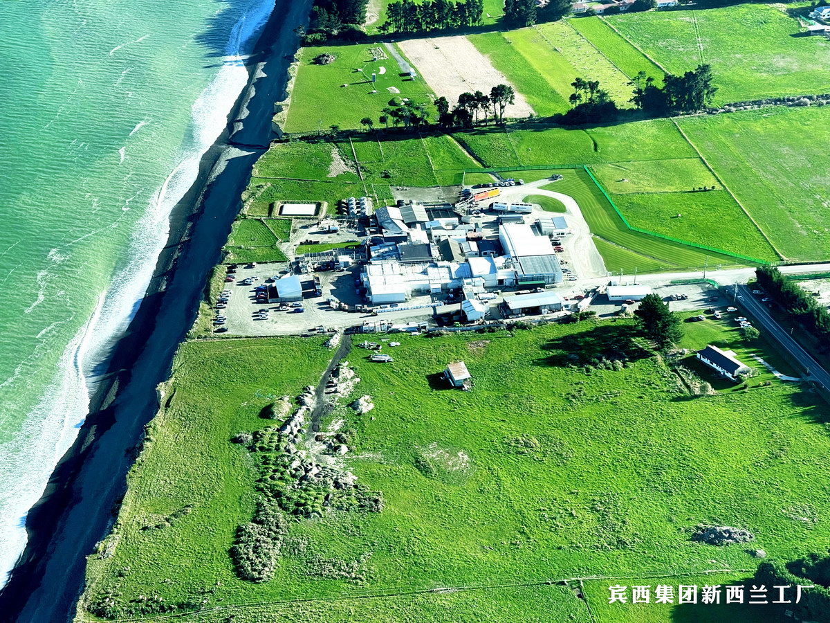 1717059826999068.jpg 10.jpg